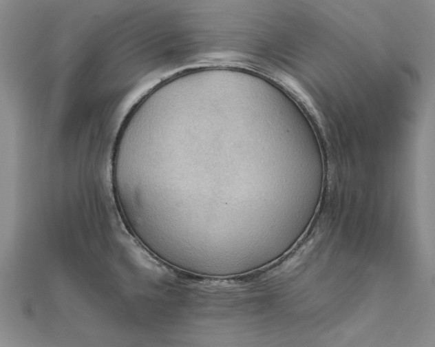 X0000111861336200908061328