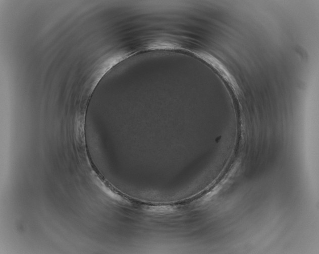 X0000111861337200908061328