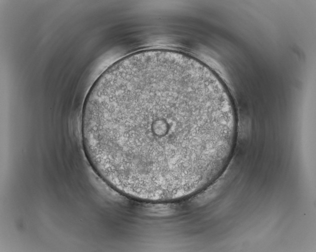 X0000111861338200908061328