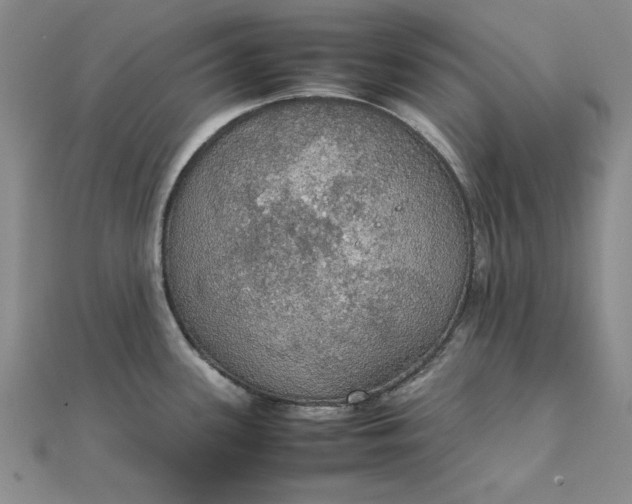 X0000111861339200908061328