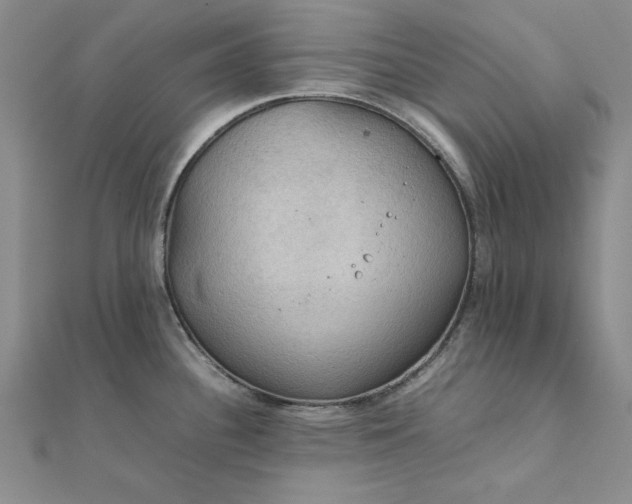 X0000111861340200908061328