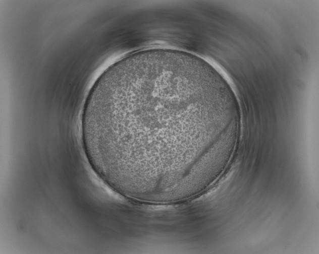 X0000111861341200908061328