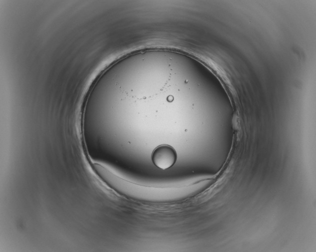 X0000111861342200908061328