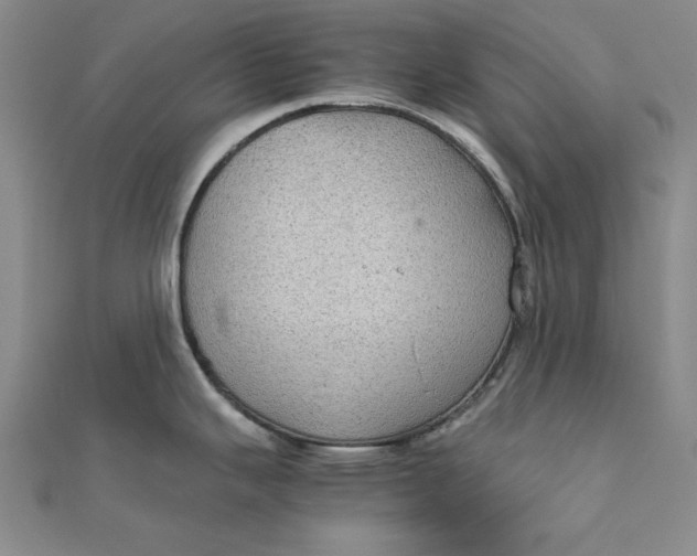 X0000111861343200908061328