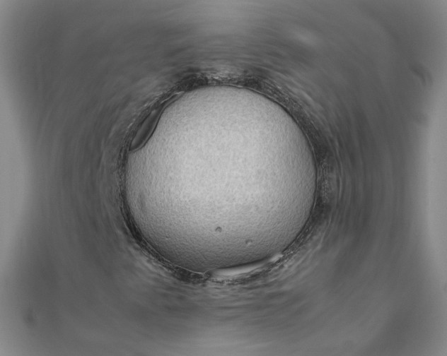 X0000111861345200908061327