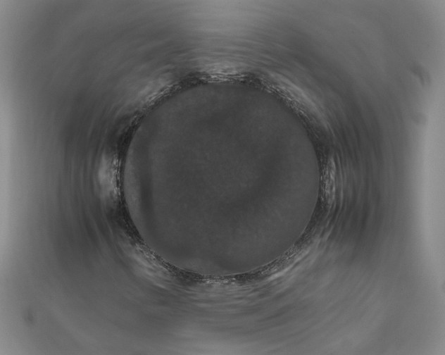 X0000111861346200908061327