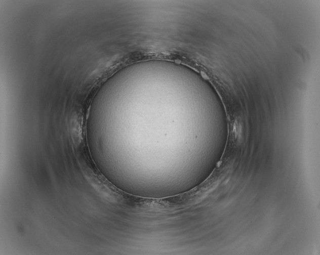 X0000111861348200908061327