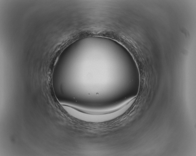 X0000111861349200908061327