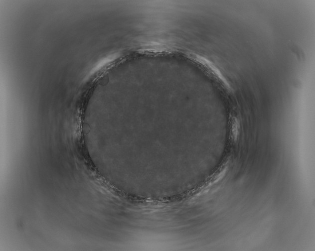 X0000111861350200908061327