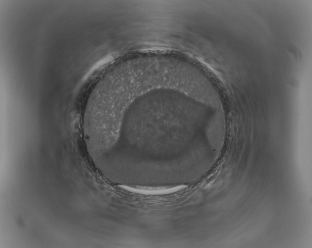 X0000111861351200908061327