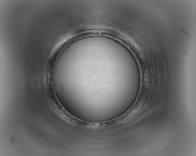 X0000111861352200908061327