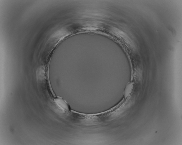 X0000111861353200908061327