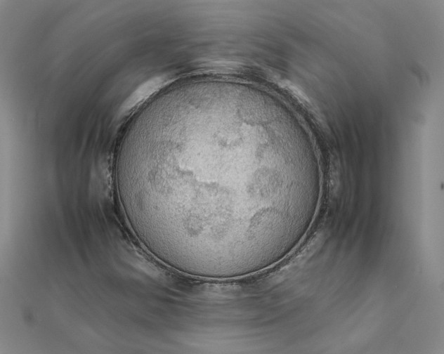 X0000111861354200908061327