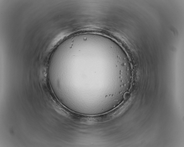 X0000111861355200908061327