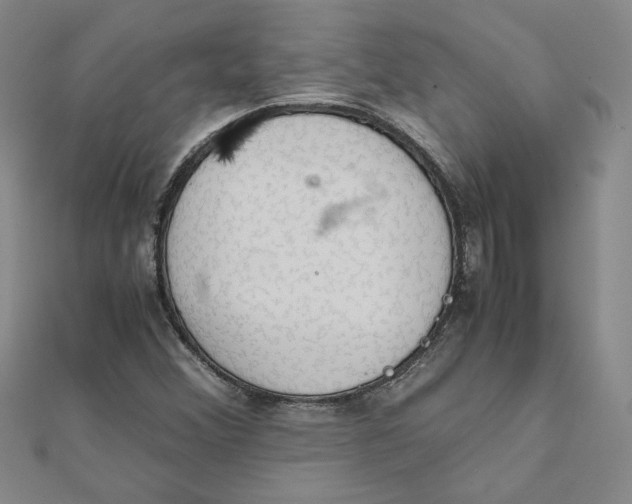 X0000111861356200908061327