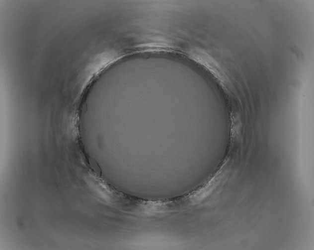 X0000111861357200908061327