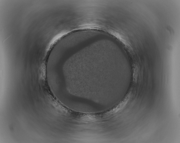 X0000111861358200908061327