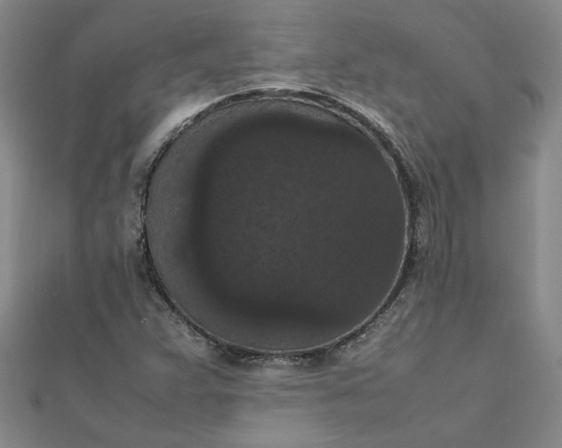 X0000111861359200908061327