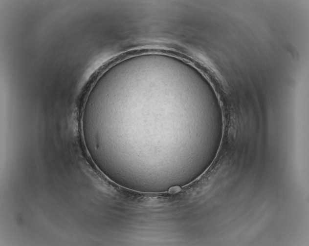 X0000111861360200908061327