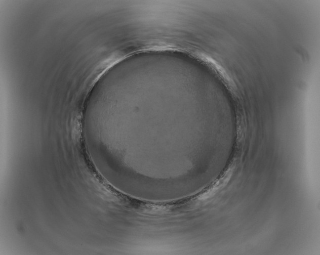 X0000111861361200908061327