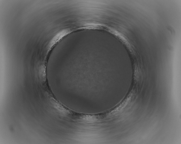 X0000111861362200908061327