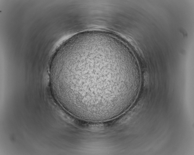 X0000111861363200908061327