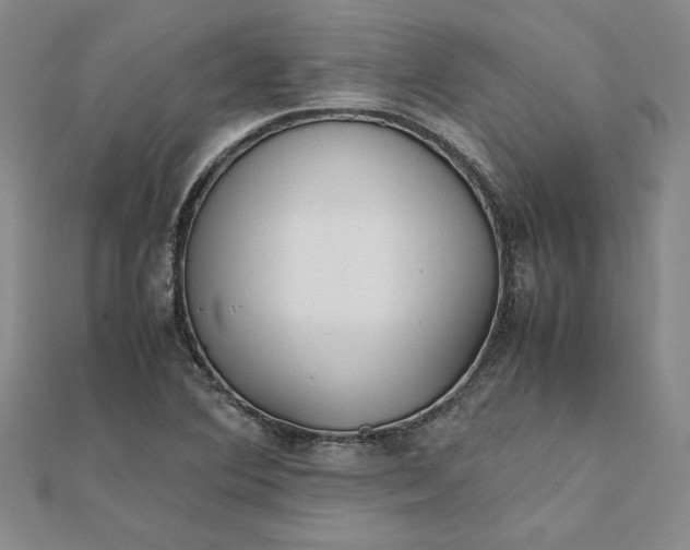 X0000111861364200908061327