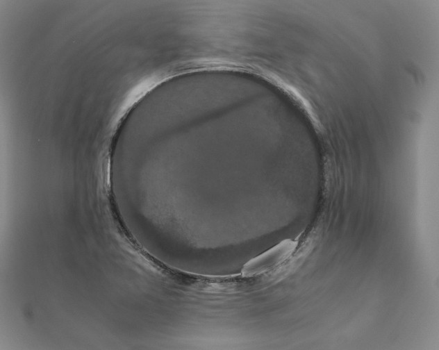 X0000111861365200908061327