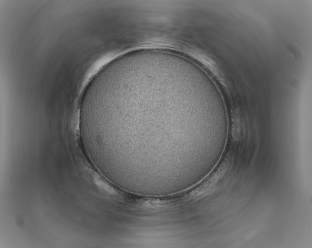 X0000111861366200908061327