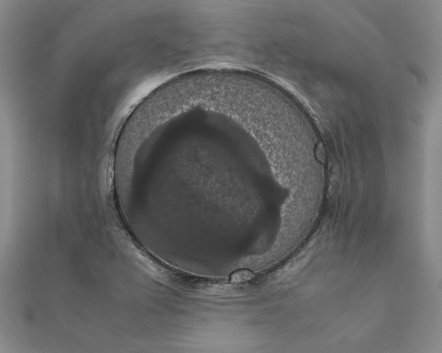 X0000111861367200908061327