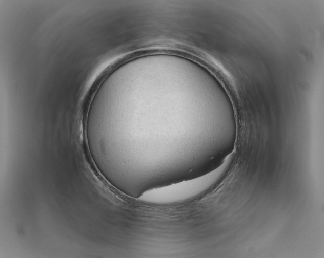 X0000111861368200908061327