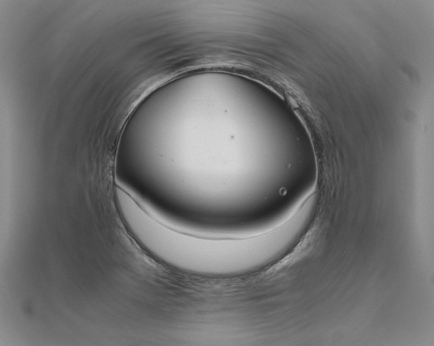 X0000111861369200908061327