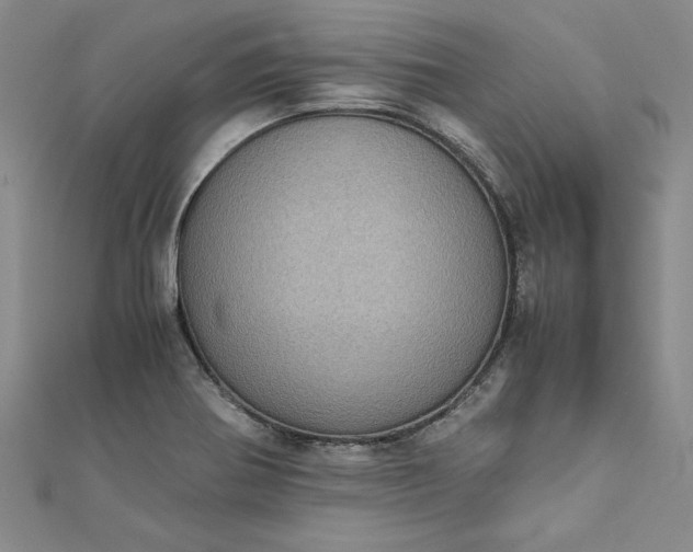 X0000111861370200908061327