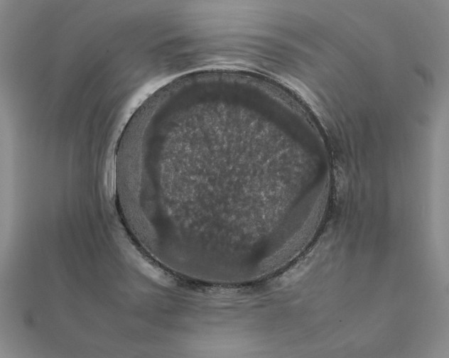 X0000111861371200908061327