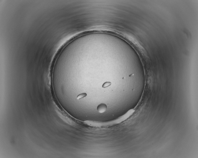 X0000111861372200908061327