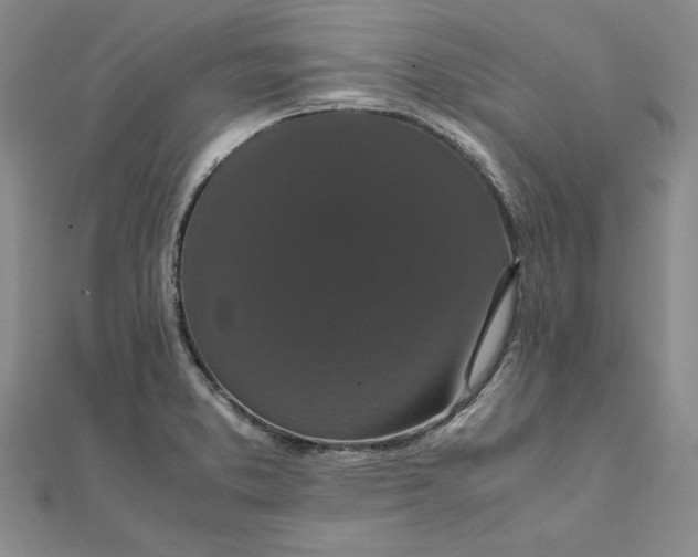 X0000111861373200908061327