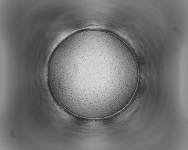 X0000111861375200908061327