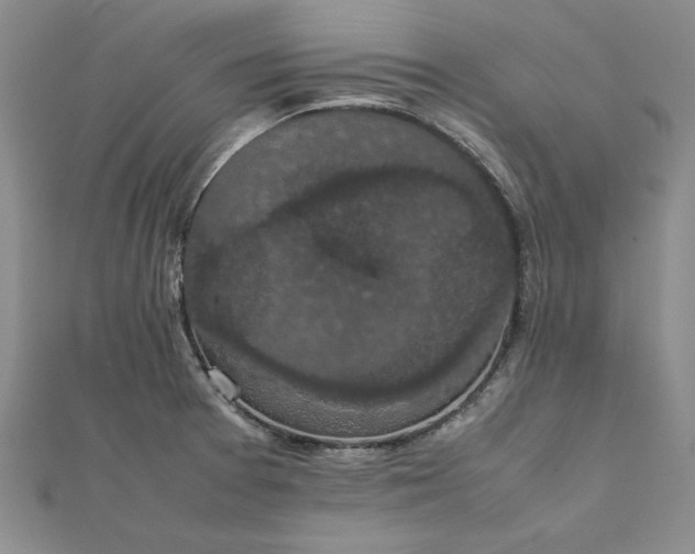 X0000111861377200908061327