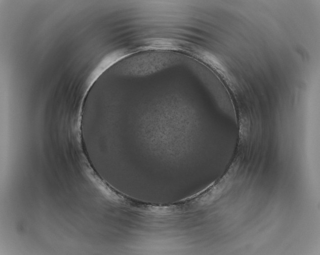 X0000111861378200908061327