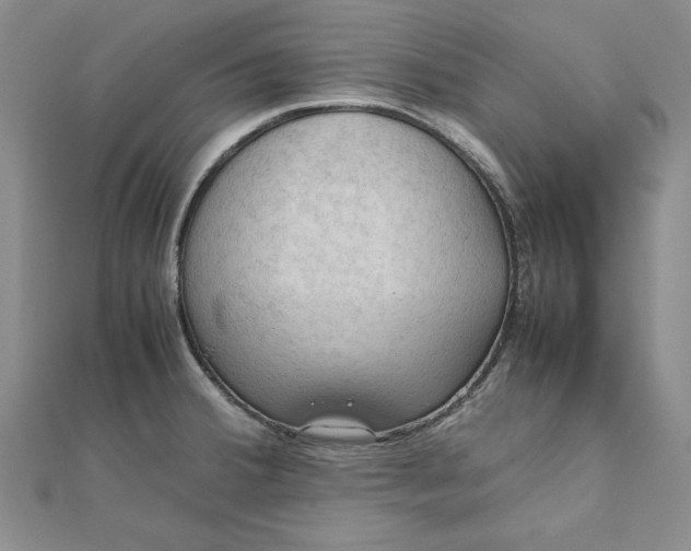 X0000111861380200908061327