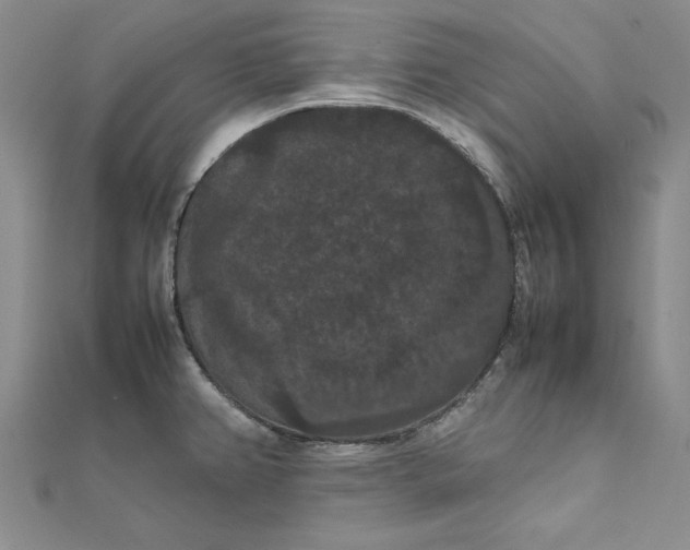 X0000111861382200908061327