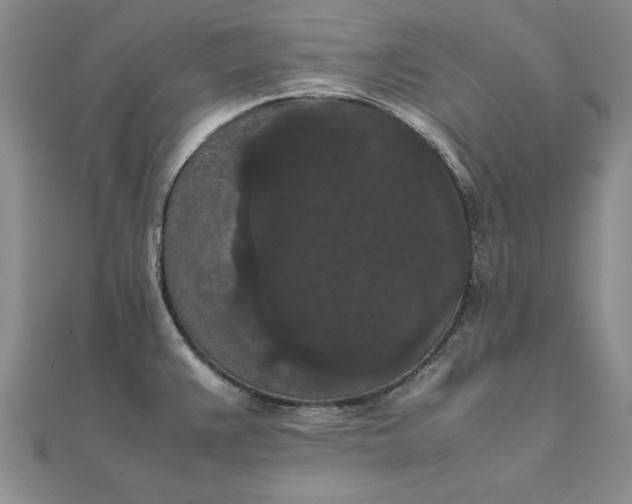 X0000111861383200908061327