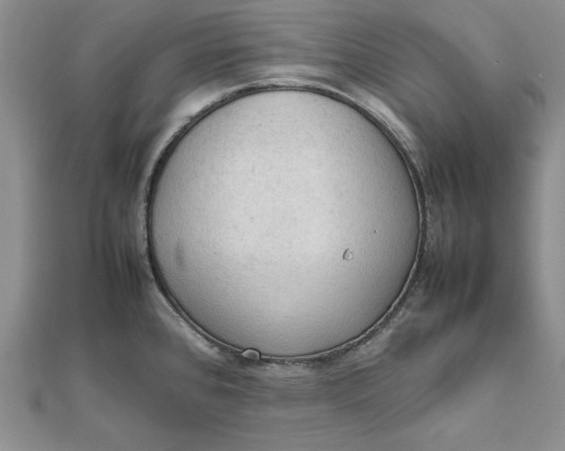 X0000111861384200908061326