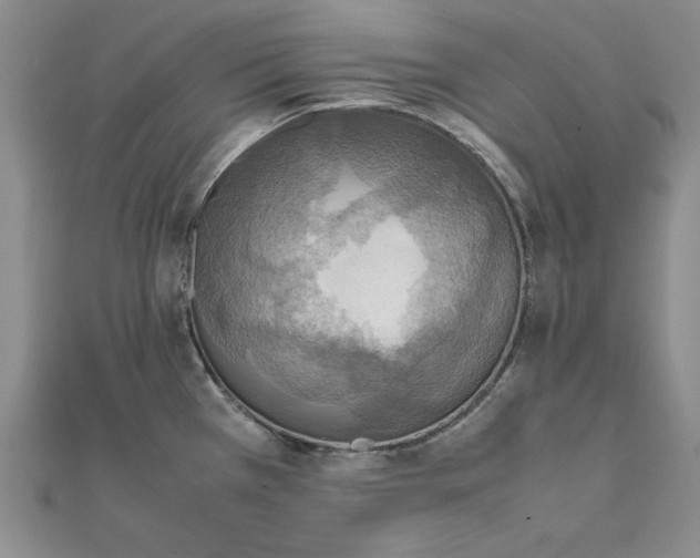 X0000111861385200908061326