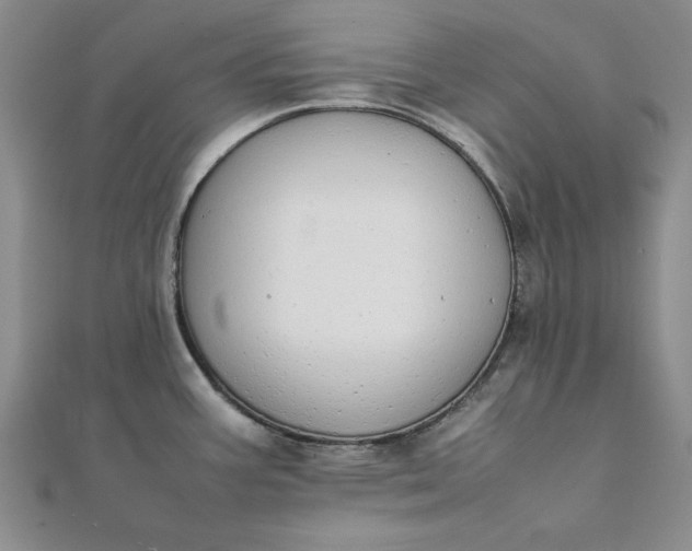 X0000111861387200908061326