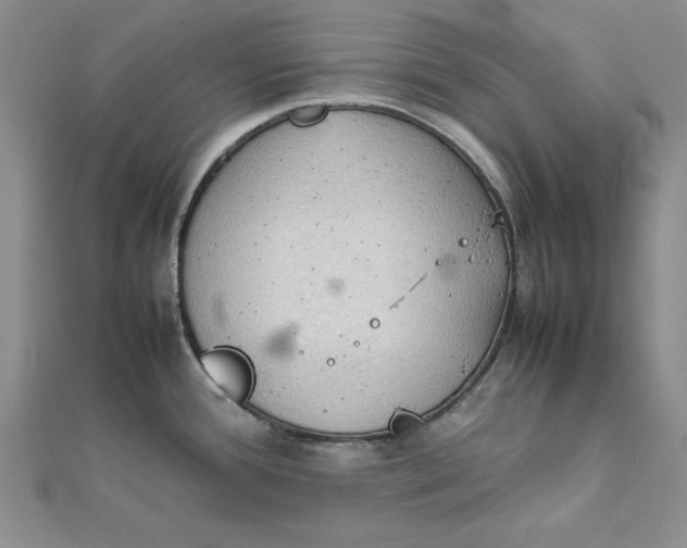 X0000111861388200908061326