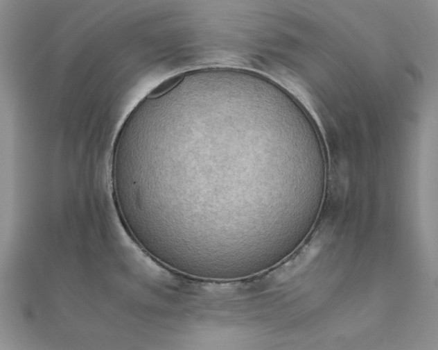 X0000111861389200908061326