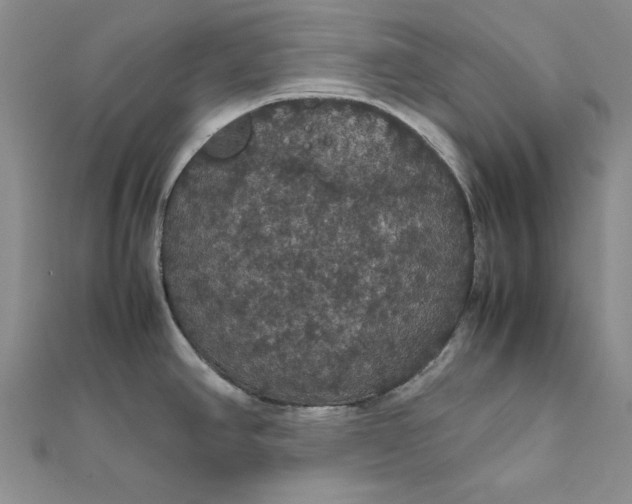 X0000111861390200908061326