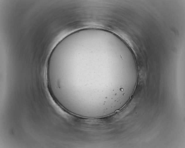 X0000111861391200908061326