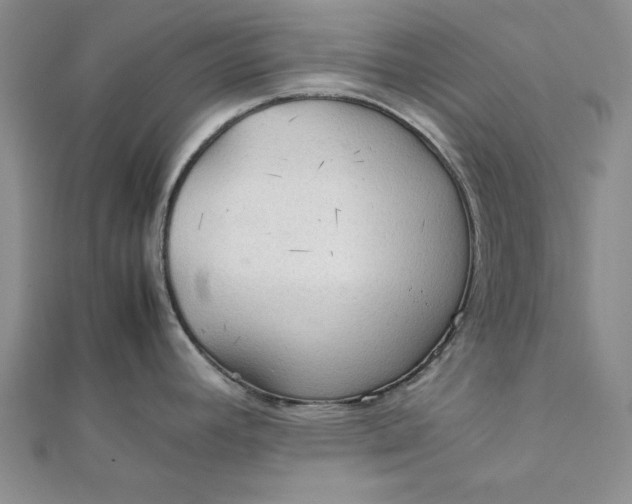 X0000111861392200908061326